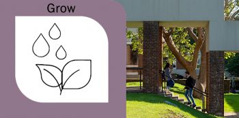 Grow logo for Reesarcher Development Programme