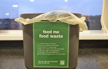 Food waste recycling caddy on a table top