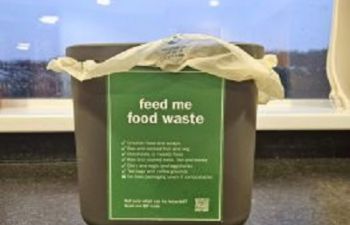 Food waste caddie