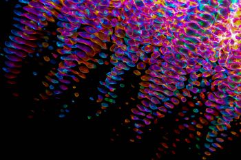 abstract colourful bubbles