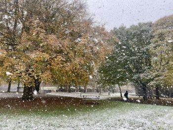 Image shows snow falling on a close-up of auburn trees on campus, with a student out of focus in the right-hand shot of the frame