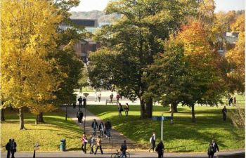 Sussex School for Progressive Futures scholarship