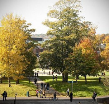 People walking through the University of Sussex campus.