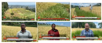 Jimma team on national TV with NbS testing grounds in the background