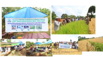 Farmers Field day shots