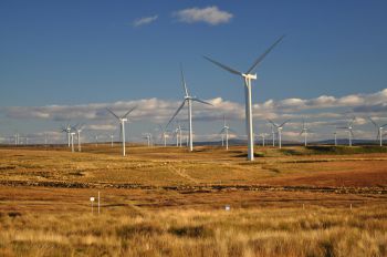 Photos of wind turbines in a field in Scotland