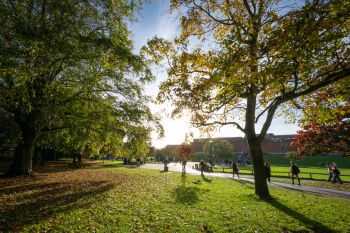 Autumn on University of Sussex campus