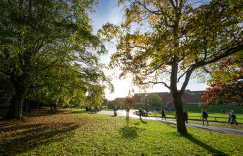 Autumn on University of Sussex campus