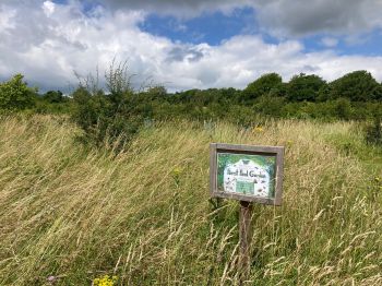 A Forest Food Garden sign sat within the tall grasses in the garden