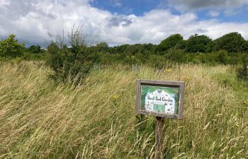 A Forest Food Garden sign sat within the tall grasses in the garden