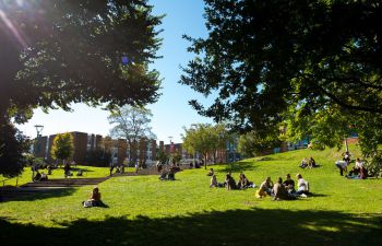 A photo of the University of Sussex campus showing green outdoor spaces
