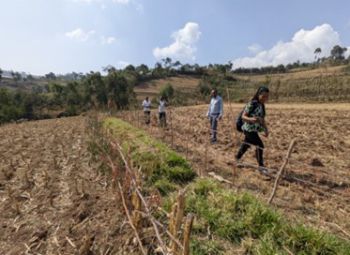 Bund and grass strip experimental site in Jimma, Ethiopia