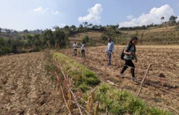 Bund and grass strip experimental site in Jimma, Ethiopia