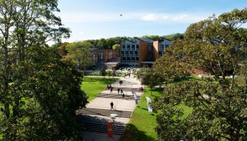 picture of sussex university campus
