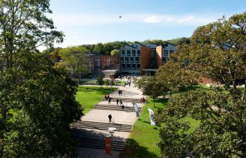 picture of sussex university campus