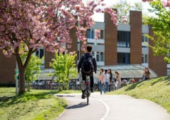Cyclist on campus on a sunny day under a cherry tree