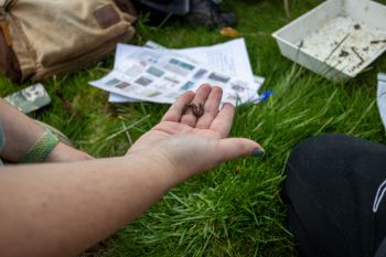 Earthworm surveying, with a hand reached out holding an earthworm whilst people circle round.