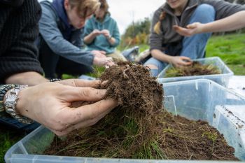 An earthworm held upon a mound of soil, with students surveying in the background.