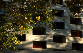 Meeting house through trees