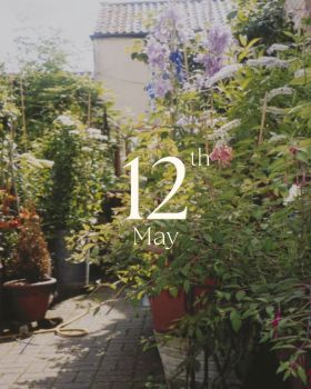 Image of a domestic garden with patio, plants in pots, purple flowers, shed with tiled roof. A yellow hose snakes across the ground. The text 12th May is in white in centre of the page.