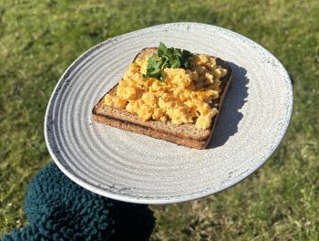Scrambled eggs on toast
