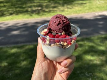 Apologies. Broadcast images pre 2021 do not have alt-text