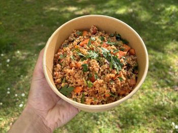 Apologies. Broadcast images pre 2021 do not have alt-text