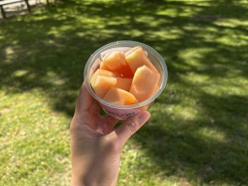 Apologies. Broadcast images pre 2021 do not have alt-text