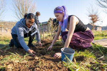 Students working at the Forest Food Garden