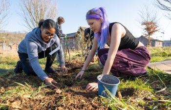 Students working at the Forest Food Garden
