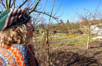 A side-view of a woman overlooking a farmland