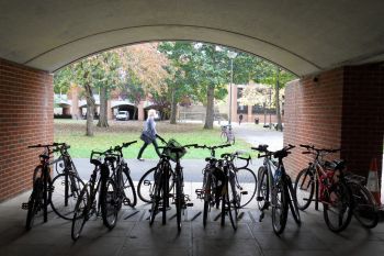 Photo of bicycles on a bike rack at Falmer House