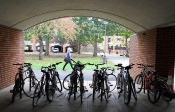 Photo of bicycles on a bike rack at Falmer House