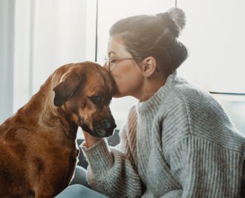 Photograph of a female shown sideways on wearing a grey jumper and glasses planting a kiss on the head of a medium sized, brown dog seated in front of her.
