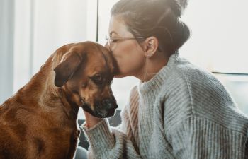 Photograph of a female shown sideways on wearing a grey jumper and glasses planting a kiss on the head of a medium sized, brown dog seated in front of her.