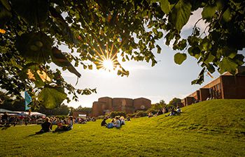 Library lawn