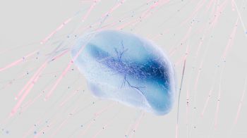 A 3D rendering of a brain's neural network with abstract neuron connections in soft blue colours