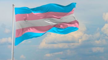 The trans flag flies against a blue sky