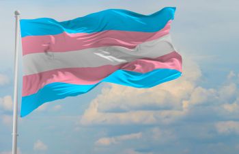 The trans flag flies against a blue sky