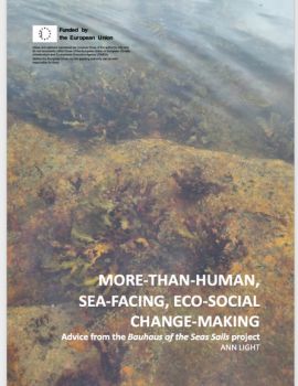 Cover of the report More-Than-Human, Sea-Facing, Eco-Social Change-Making: Advice from the Bauhaus of the Seas Sails project by Ann Light. The cover features a photograph of a shallow coastal rock pool with seaweed-covered rocks