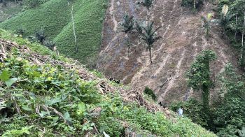 Sloped agriculture in Gorontalo Province Indonesia