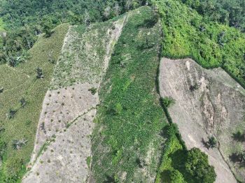 Aerial view of the farmed landscape in Gorontalo Province Indonesia