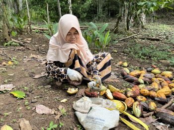 Female Indonesian forest farmer chops candlenuts