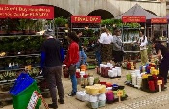 Houseplant sale taking place outside Falmer House