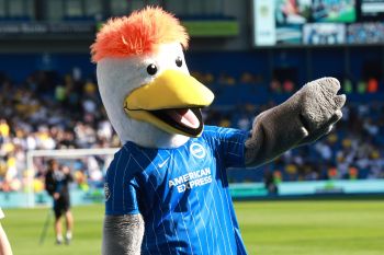BHAFC mascot, Gully