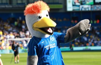 BHAFC mascot, Gully