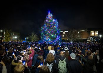 Christmas tree illumination 2025