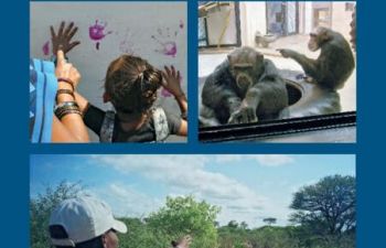 The three images there depict a child following a pointing gesture (top, left), two chimpanzees pointing with their index fingers in a laboratory environment (top, right), and a man pointing off into the distance, with a whole-hand point (at bottom).