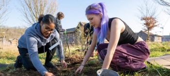 People working in a campus garden