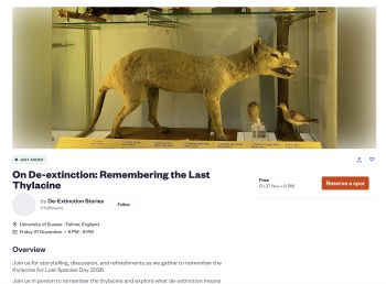 Picture of a museum exhibition, Booth museum, taxidermy mount of thylacine